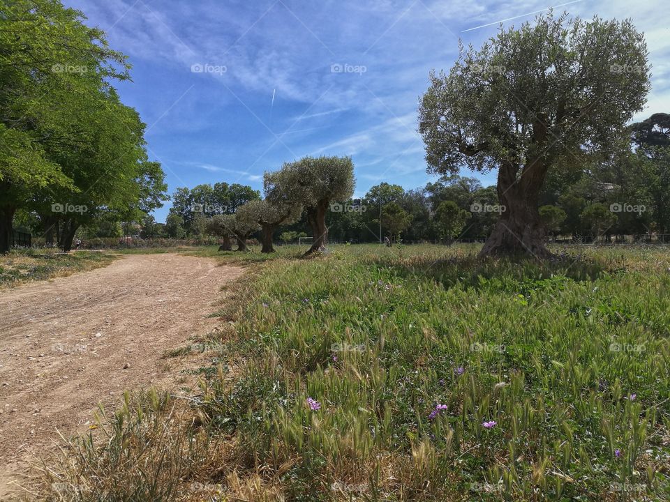 hiking Trail