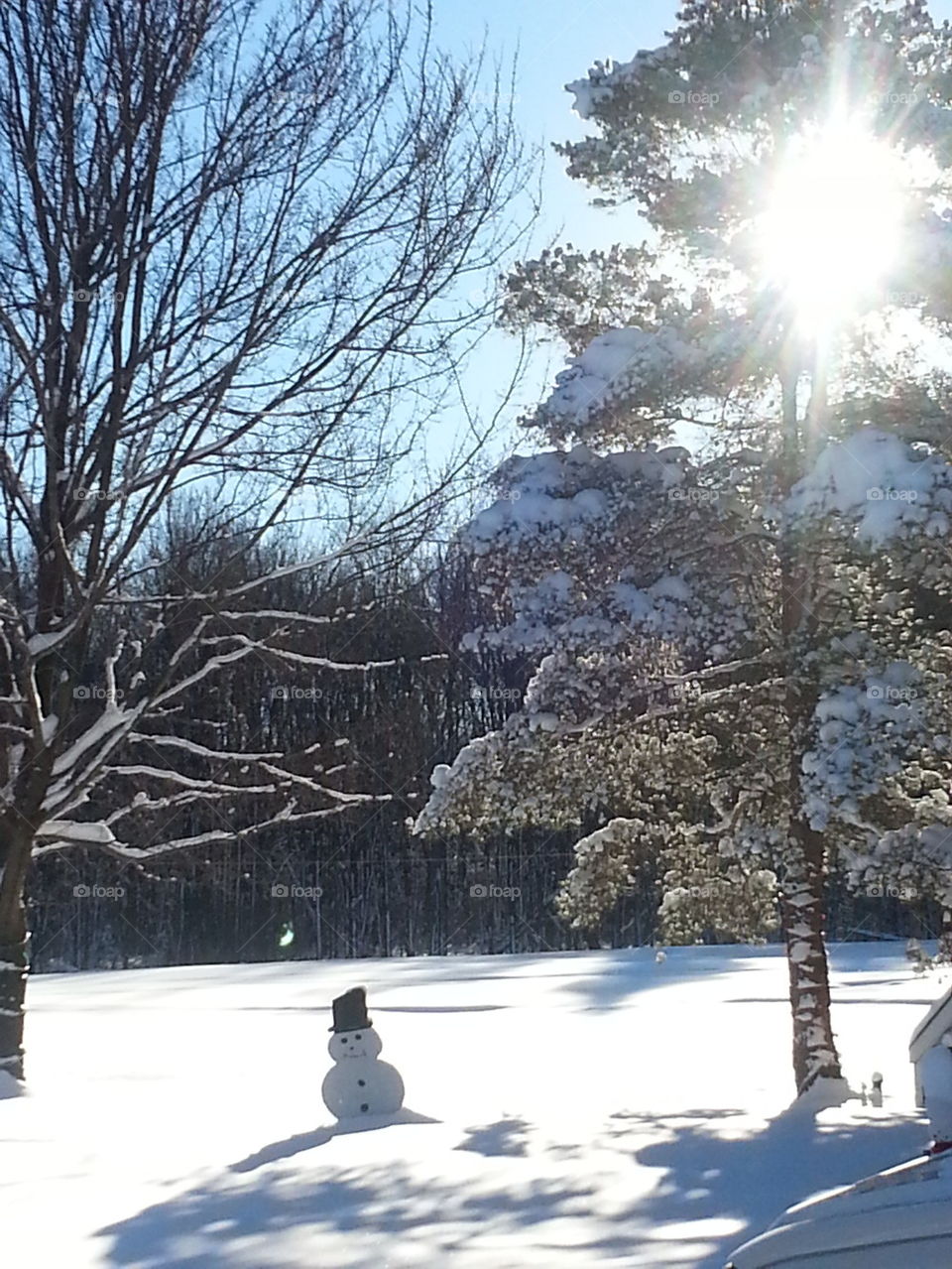 sun on the snow