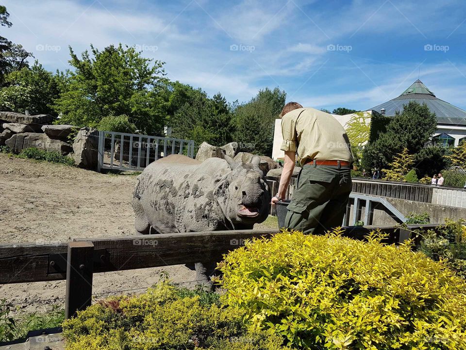 Outdoors, Landscape, Summer, Nature, Agriculture