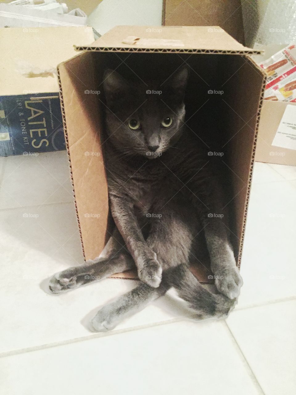 In love with the box 