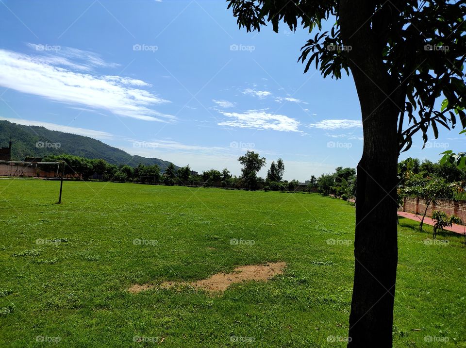 Wonderful Mountain and garden background with a tree in foreground
