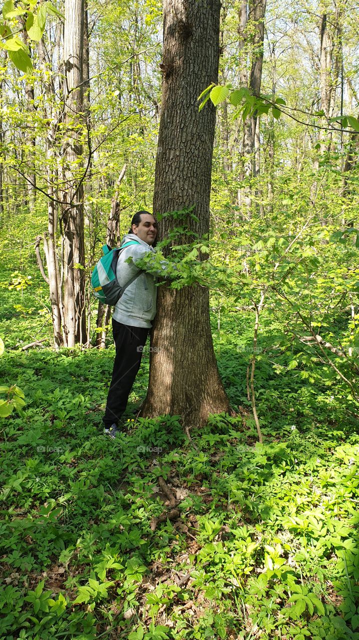 Tree hug