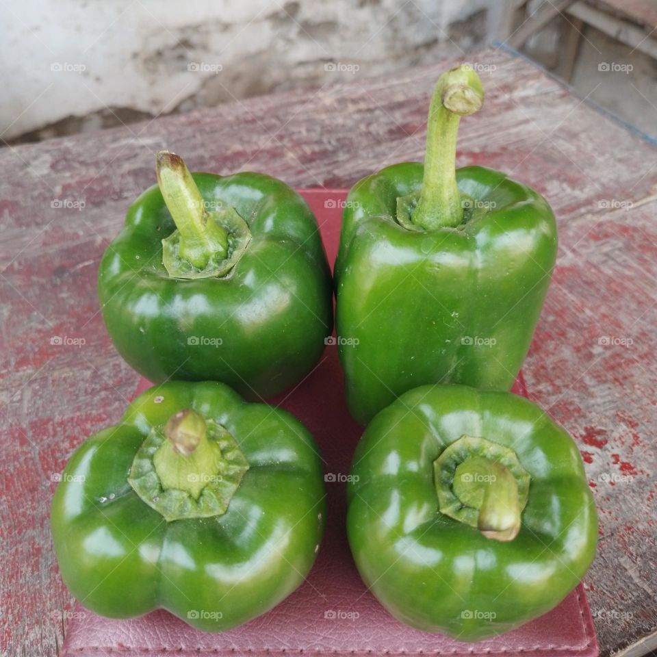 Capsicum