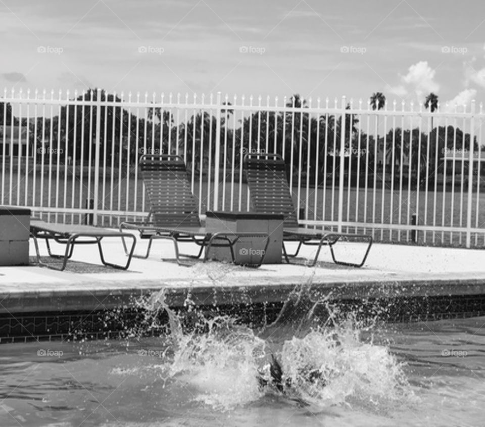 Just another perfect summer day by the pool