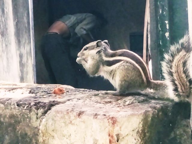 royAl picture,for u pics,Nice photo,Natural photo,Memorable photo,A wonderful photo,A beautiful photo,Amazing photo,Best photo,Real photo,A photo for you,Special photo for special,Very good photo for you,Preserve photo,Wow click photo