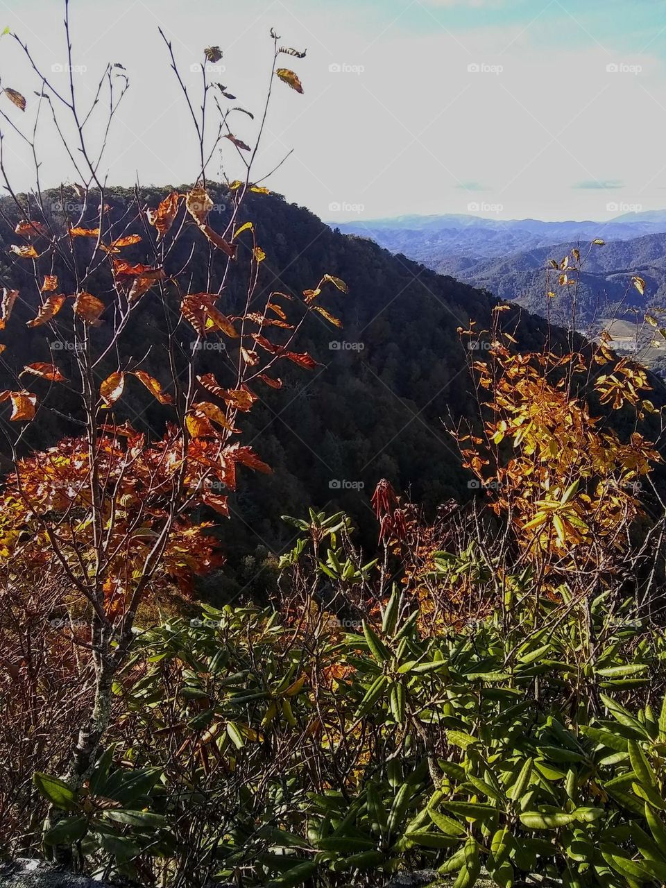 The mountains are the backdrop to tranquility