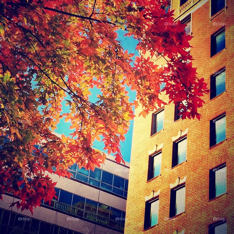 Fall