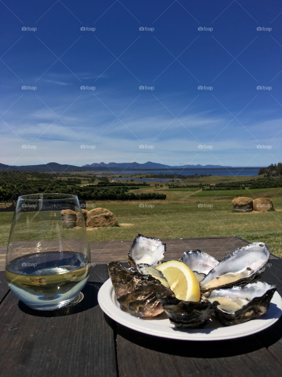 Oysters and Wine in Tasmania