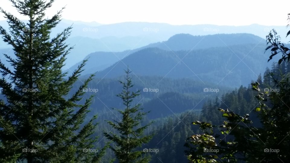 multi layered blue hills receding tree top foreground