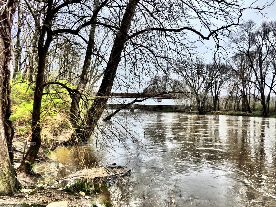Spring down by the river 