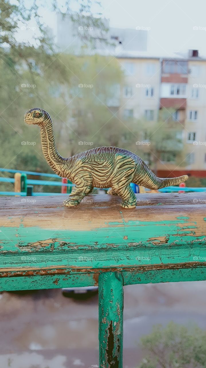 dinosaur