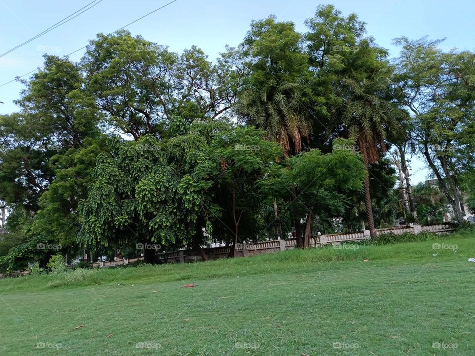 The green and white flowers in the photo are like a perfect harmony of colors in nature. It's like they were meant to be together, creating a peaceful and beautiful scene. πΌππ€