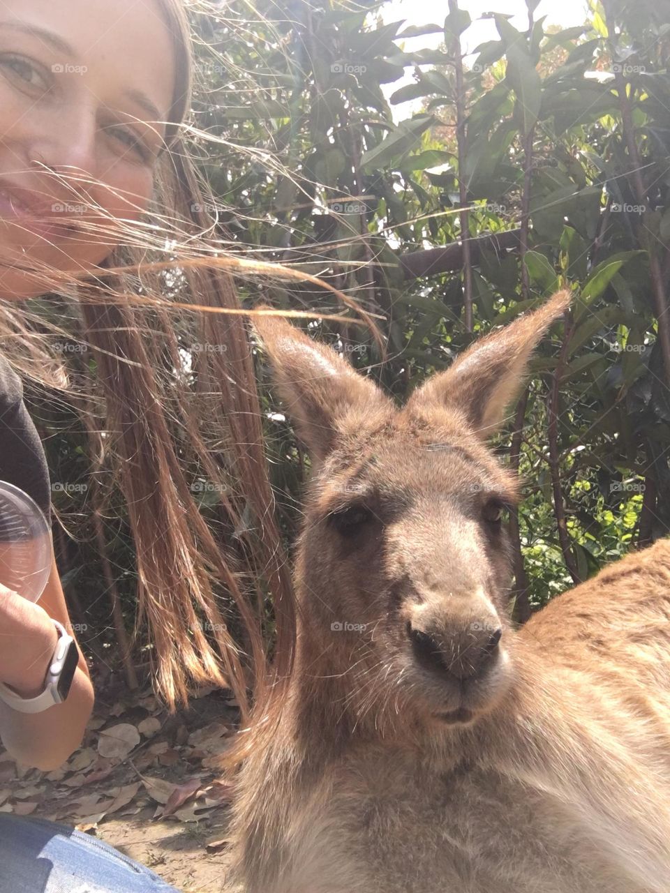 Selfie with kangaroo 