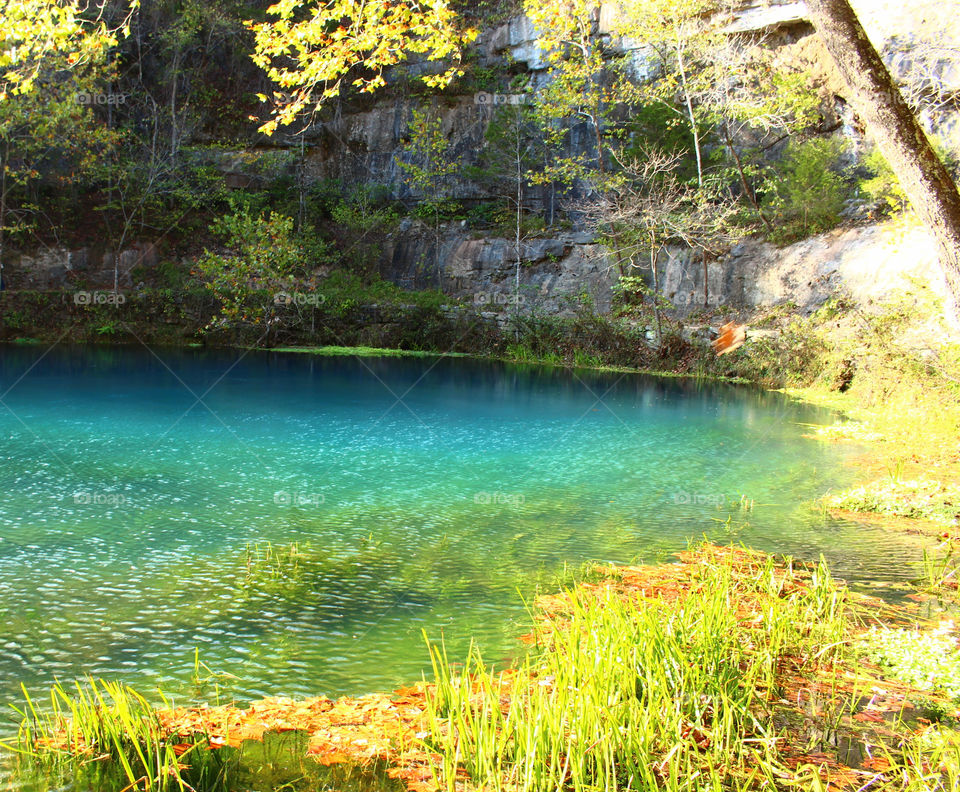 Alley Springs Spring