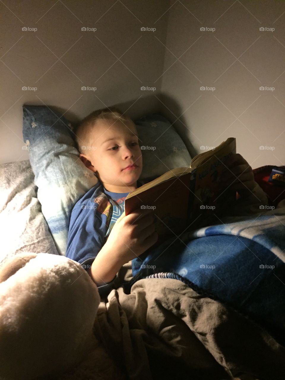 Boy reading a book in bed