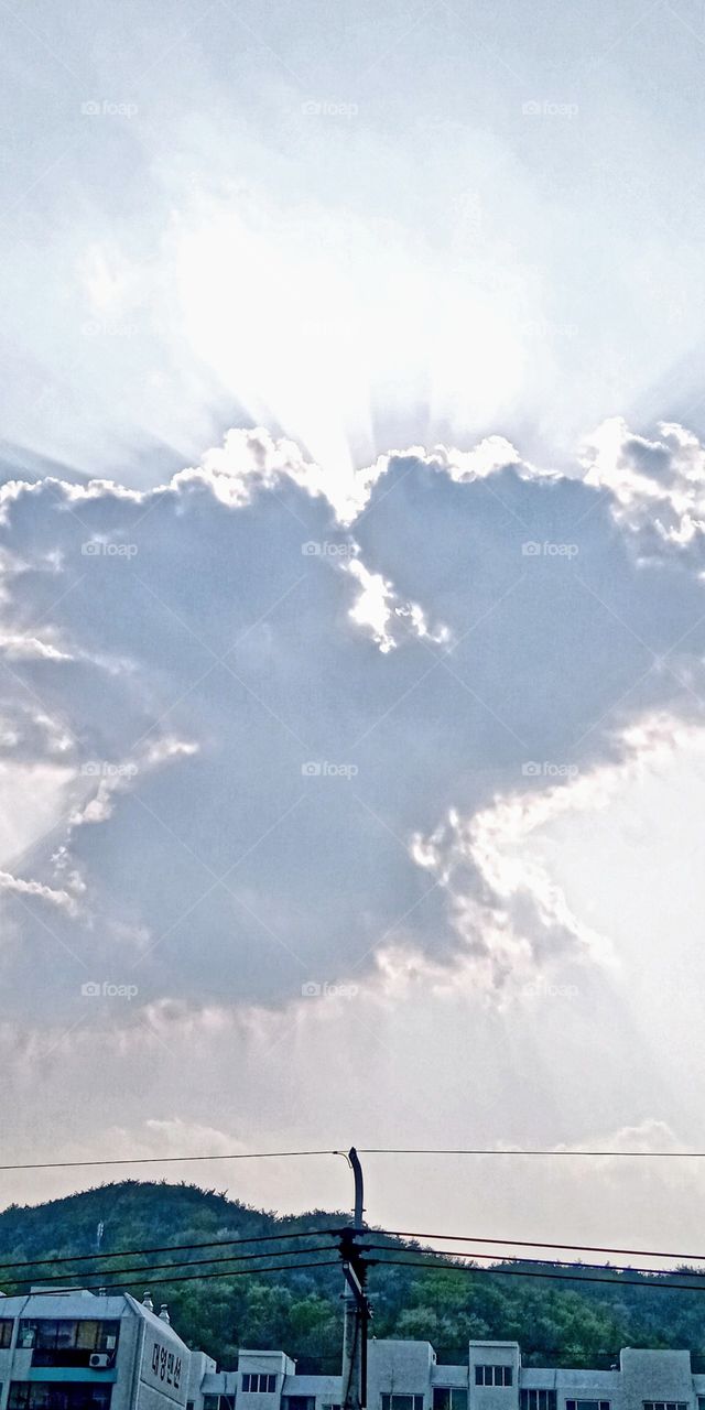 the sun was covered by a thick clouds which is formed like a ""Flying Dove"" the sun rays  shining in every corner of its sides.