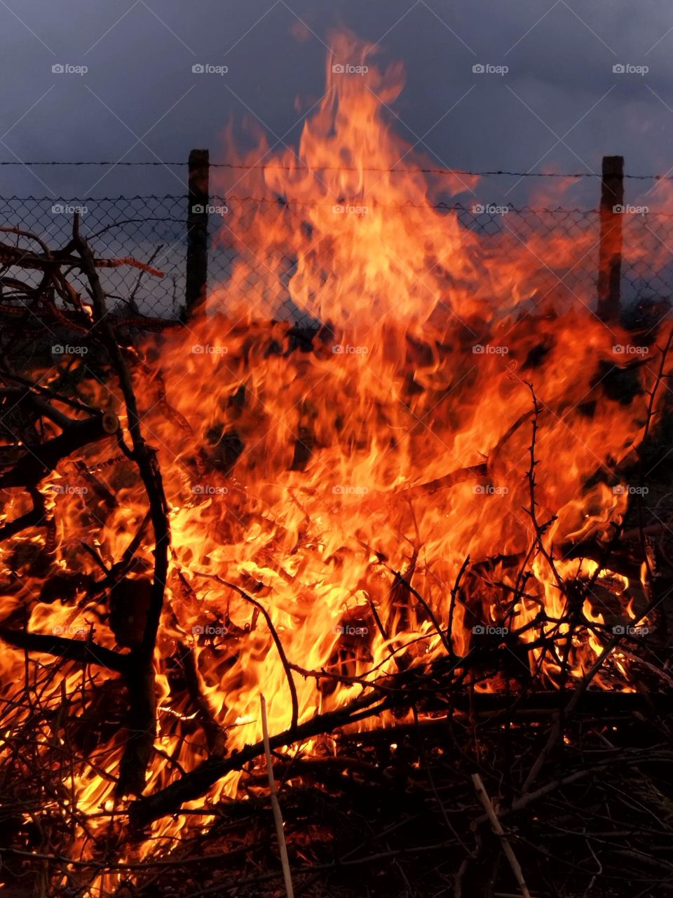Fire flame bonfire