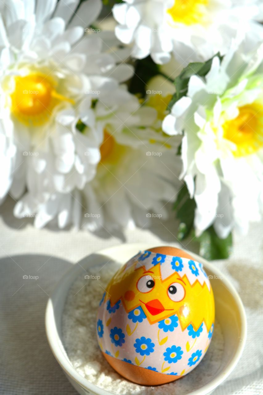 Easter, Celebration, Decoration, Flower, No Person