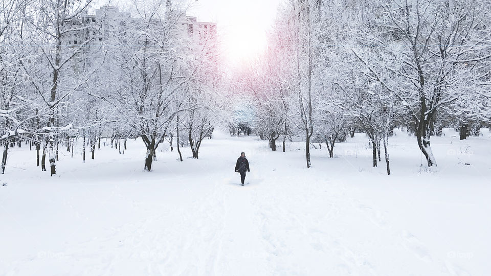 Winter landscape at sunset in the city 