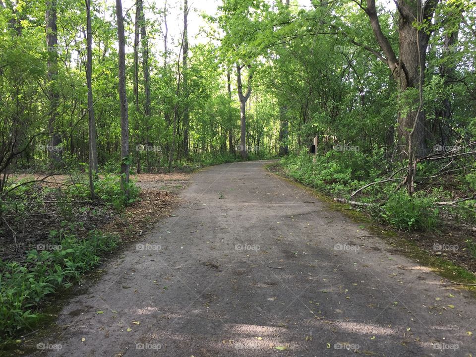 Trail at Meridian park
Late afternoon 