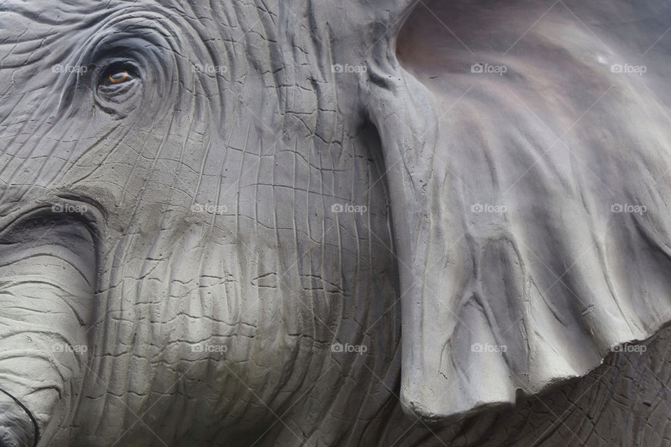 grey statue elephant close up by king