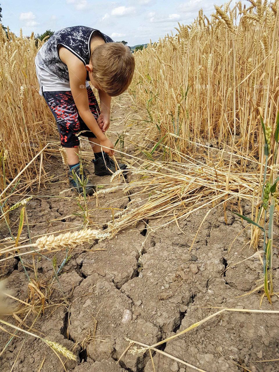 climate change dry summer