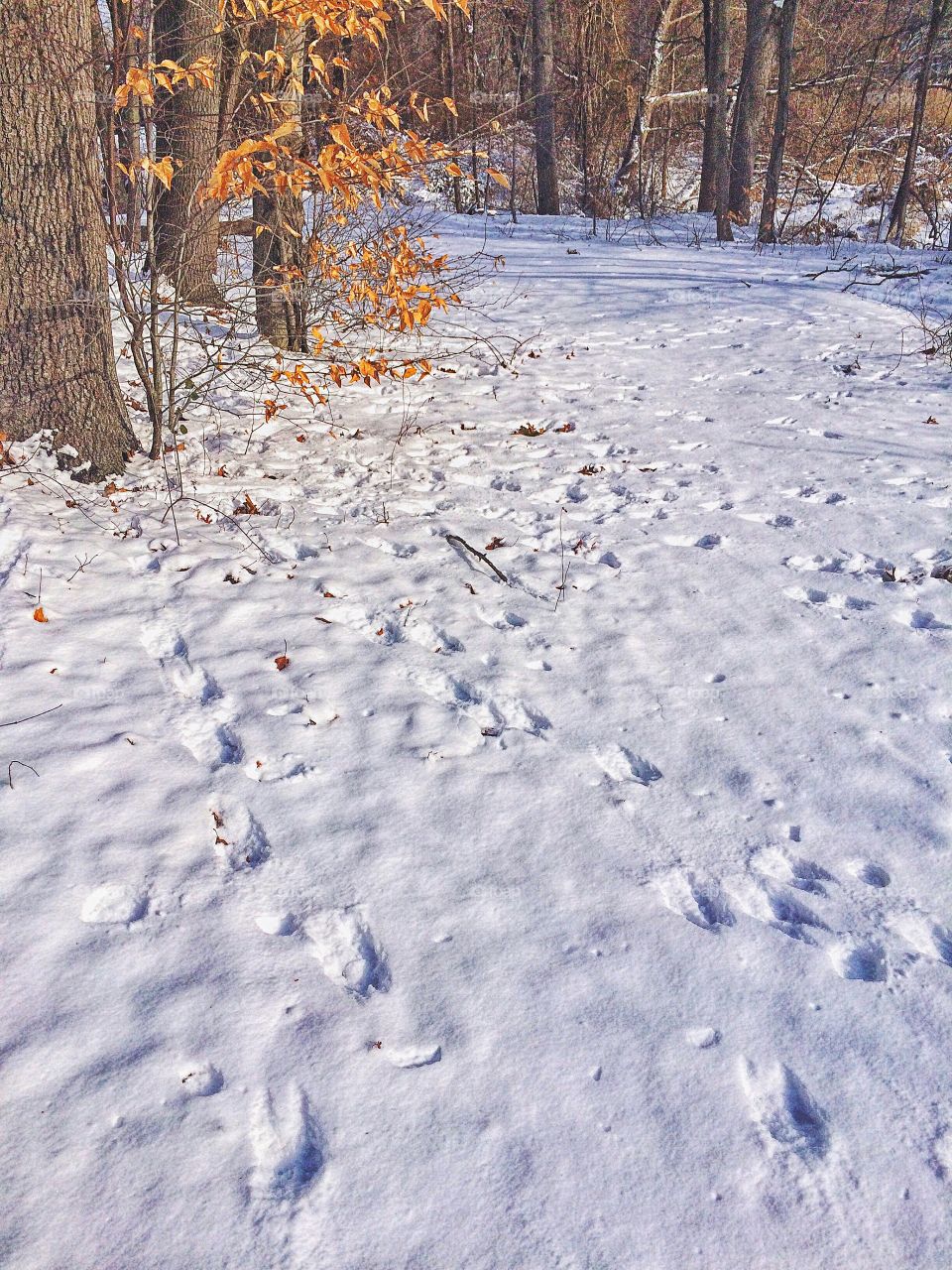 Indian River after the snow storm