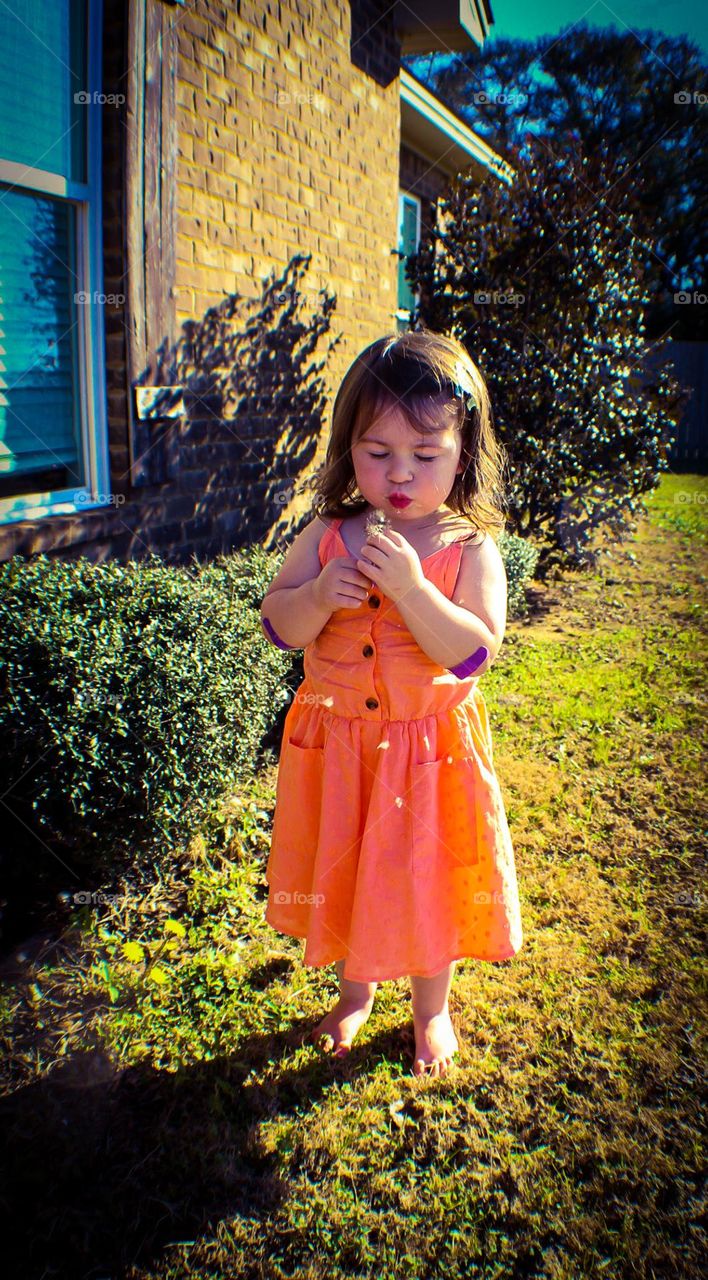 A young girl in an orange dress stands outside and blows on a dandelion, making a wish. 
