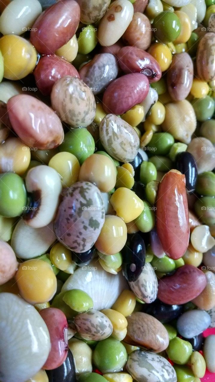 Colorful Beans