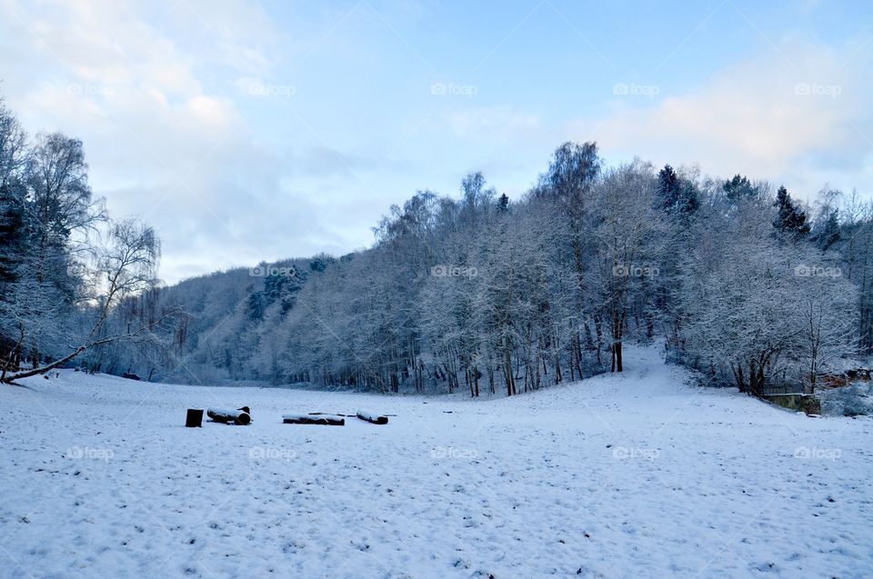 Snow, Winter, Cold, Frost, Frozen