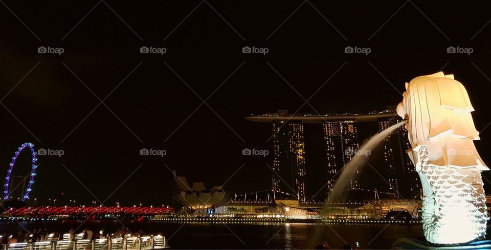 The merlion - Singapore