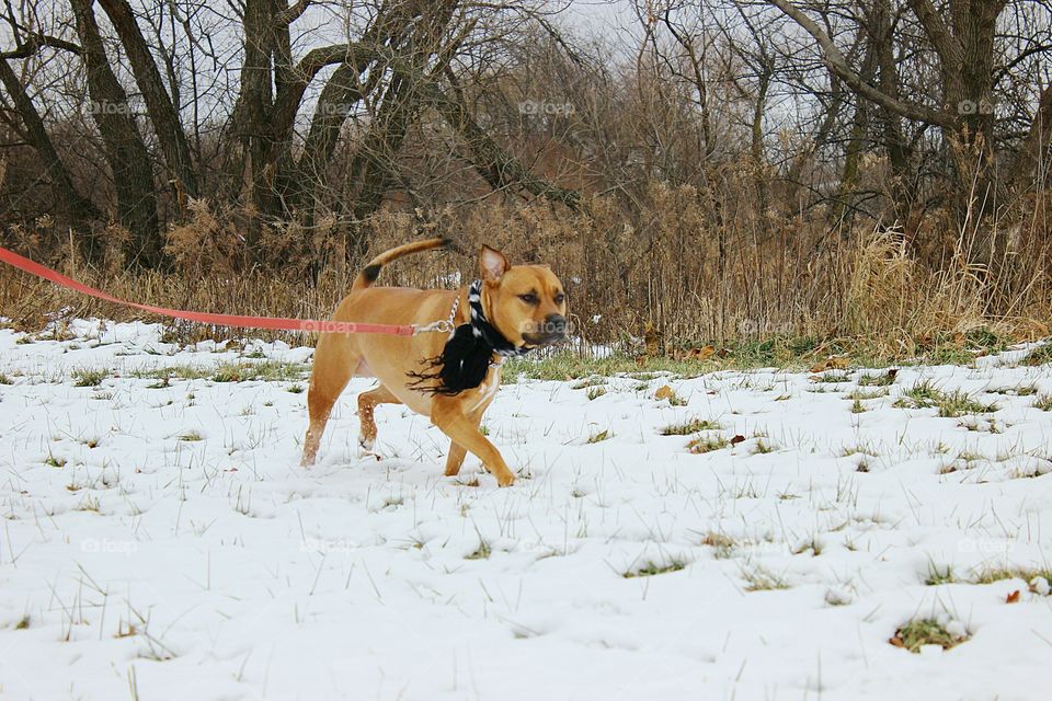 She loves walking and playing