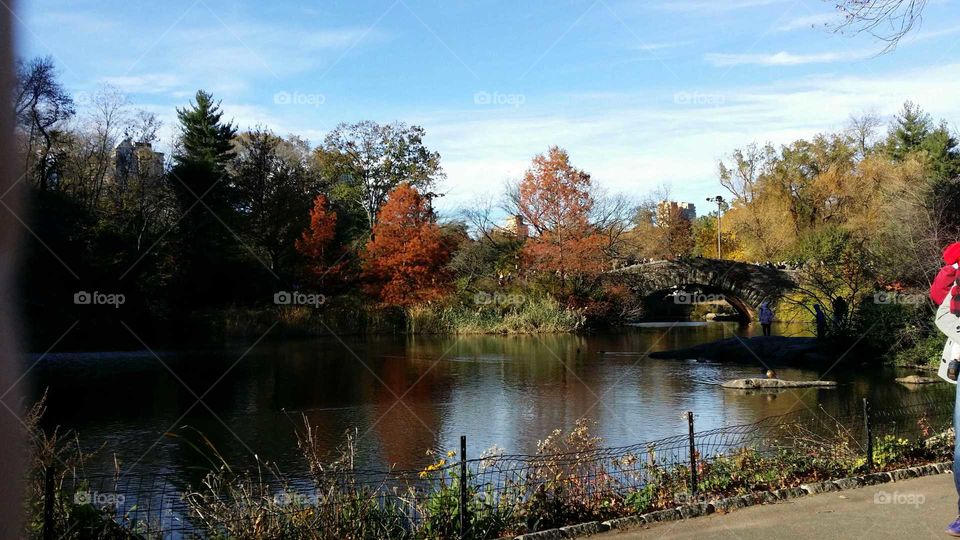 central Park in the Fall NYC