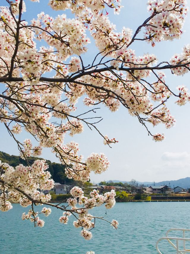 beautiful nature