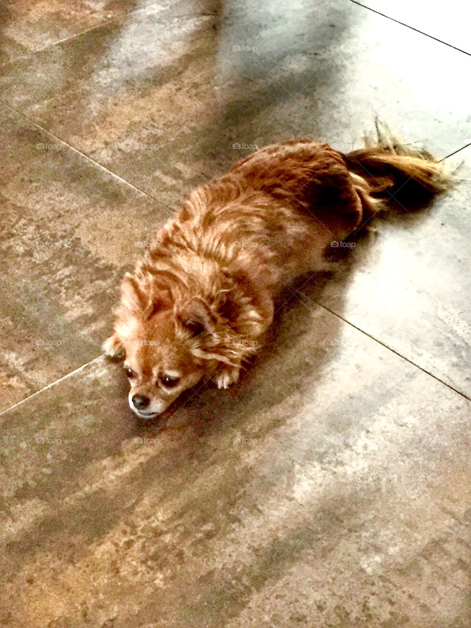 Please don't leave me!