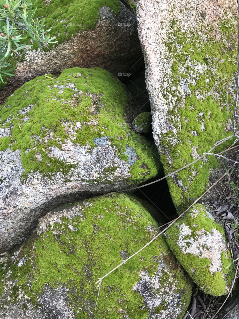 Mossy rocks