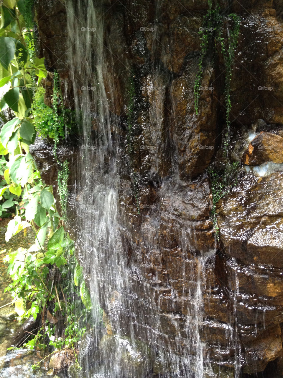 green nature water waterfall by sandborgskan
