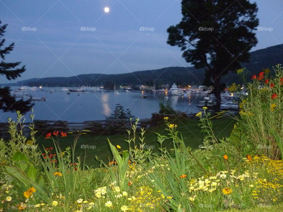View of Ganges harbour on Salts Spring Island in British Columbia on a beautiful summer’s evening