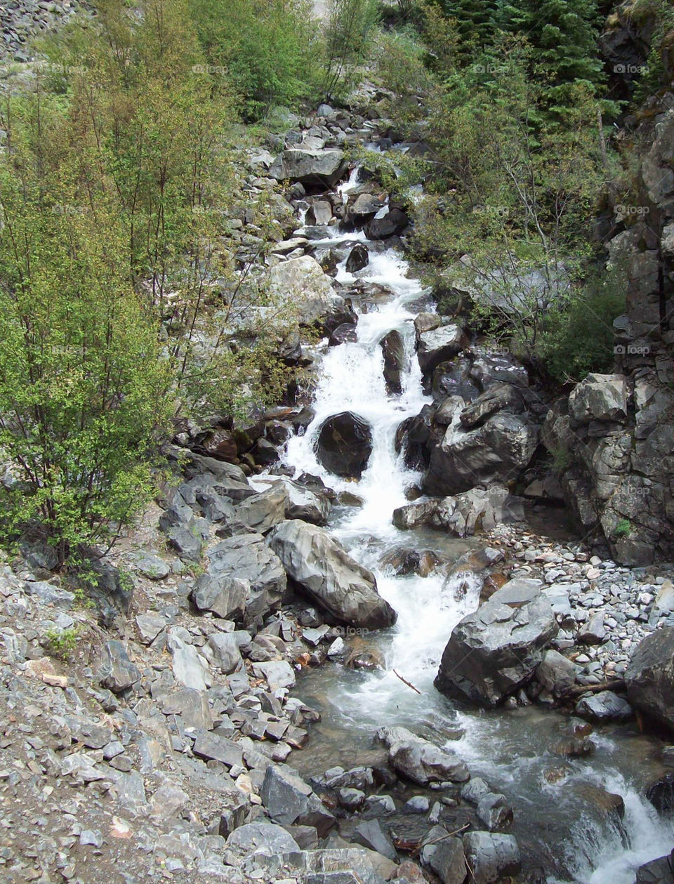 snowmelt stream in colorado