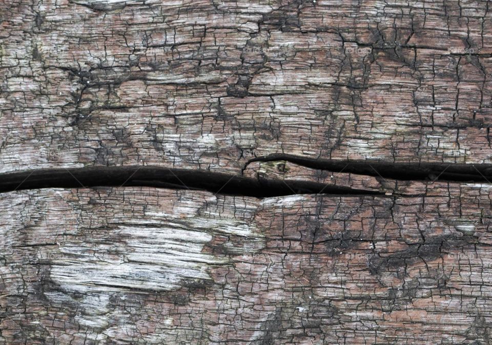 Beautiful texture background of an old wooden bench with a deep black crack in the middle, flat lay close-up. The concept of backgrounds, textures, wallpapers, wood.

Перевод разговора