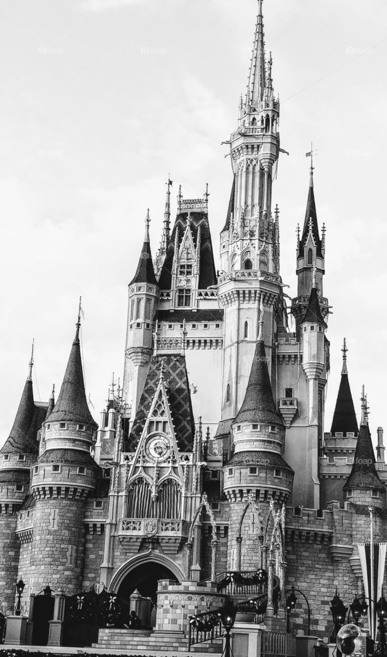 Disney Princess Castle in Black & White