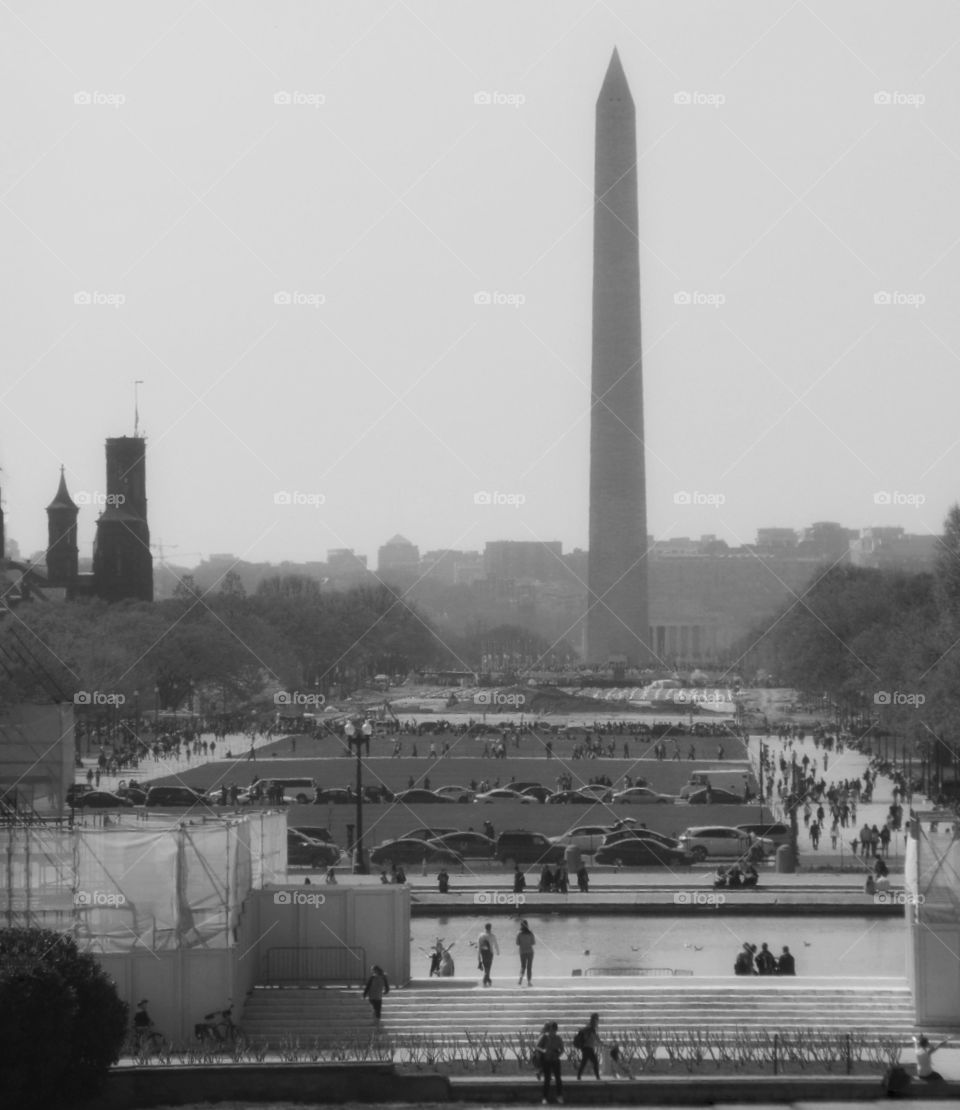 View of the Washington Monument