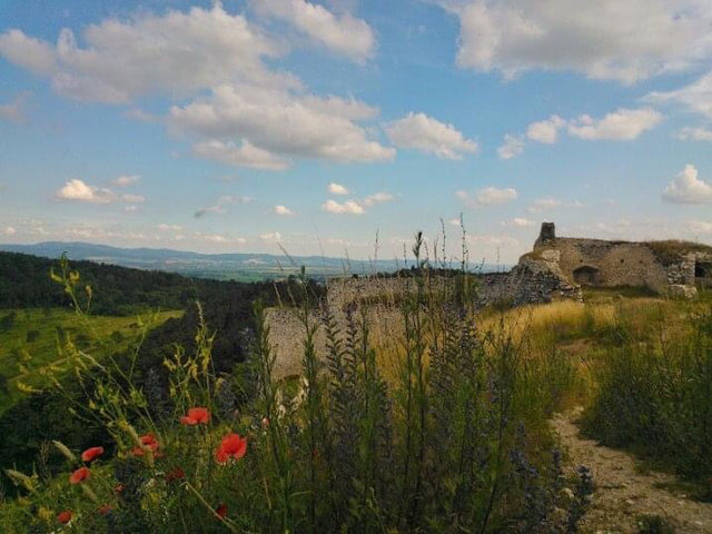 Castle views 