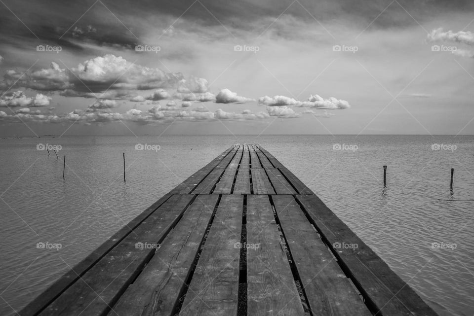 Black and white landscape view with wooden bridge