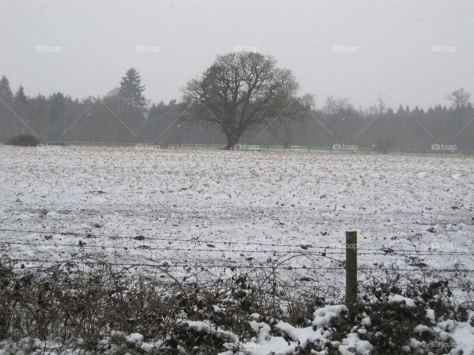 Countryside Snow