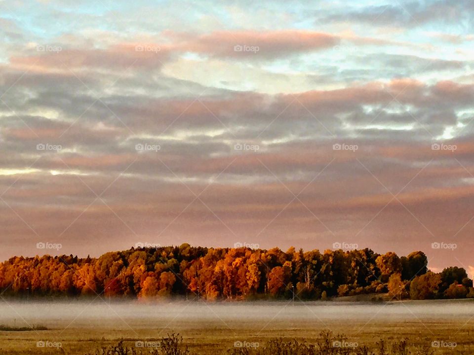 Landscape in autumn! 