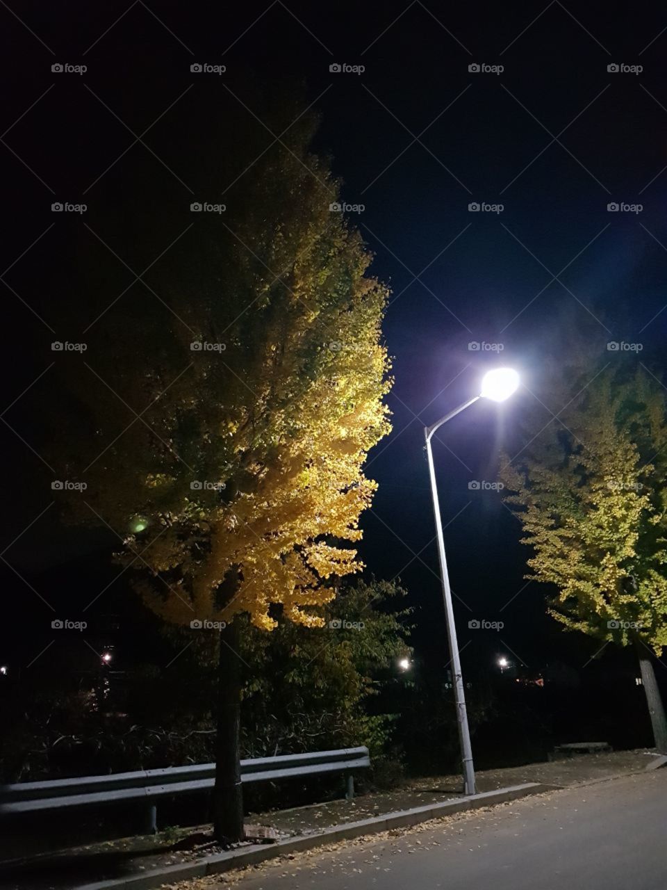 good evening 
walking on  road