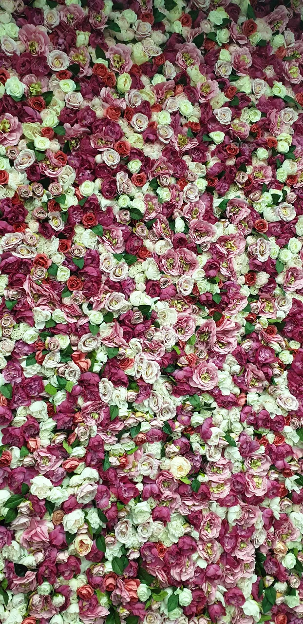 flowers background