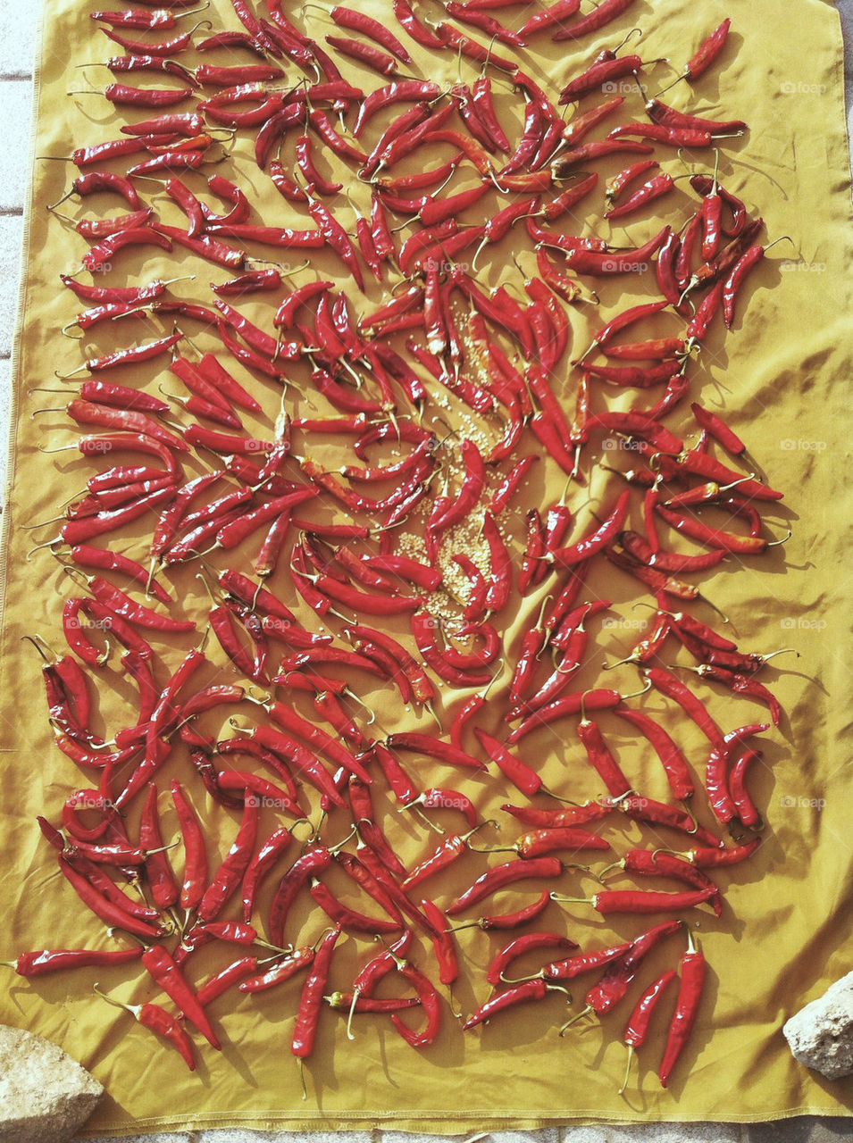 Drying out the chili peppers in the hot sun.