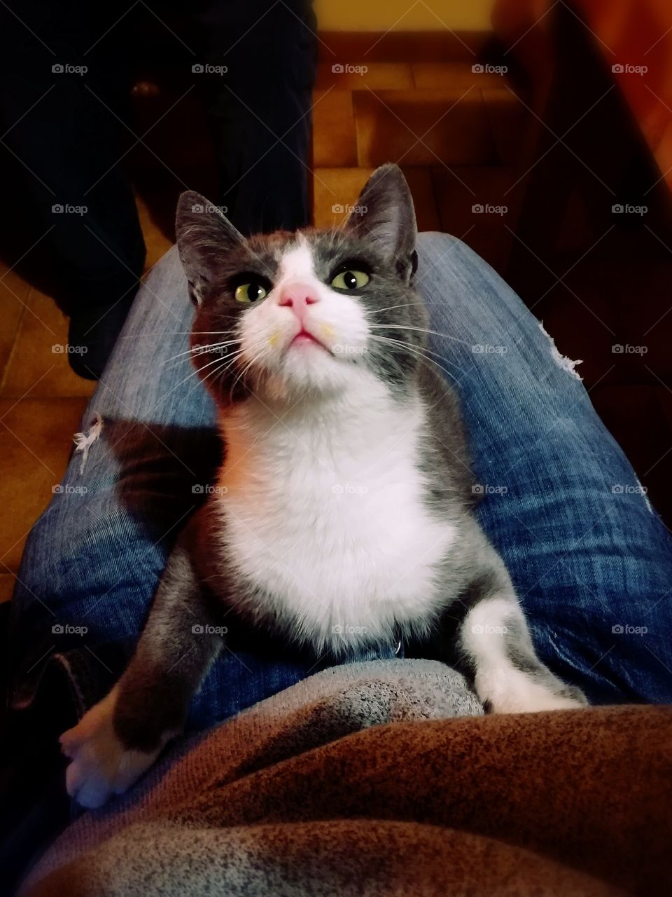 tomato on my nose🍅